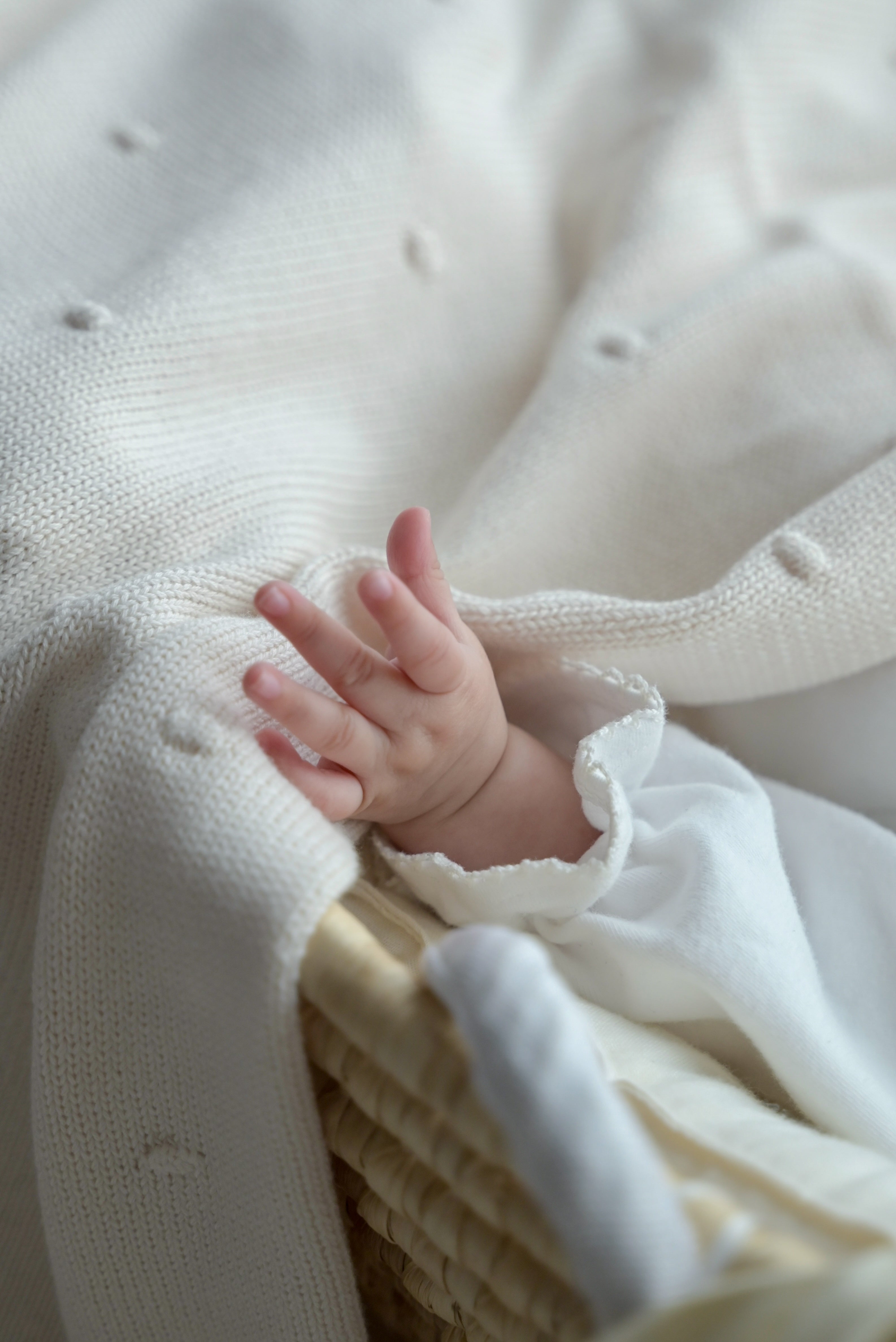 【OUTLET】organic cotton blanket