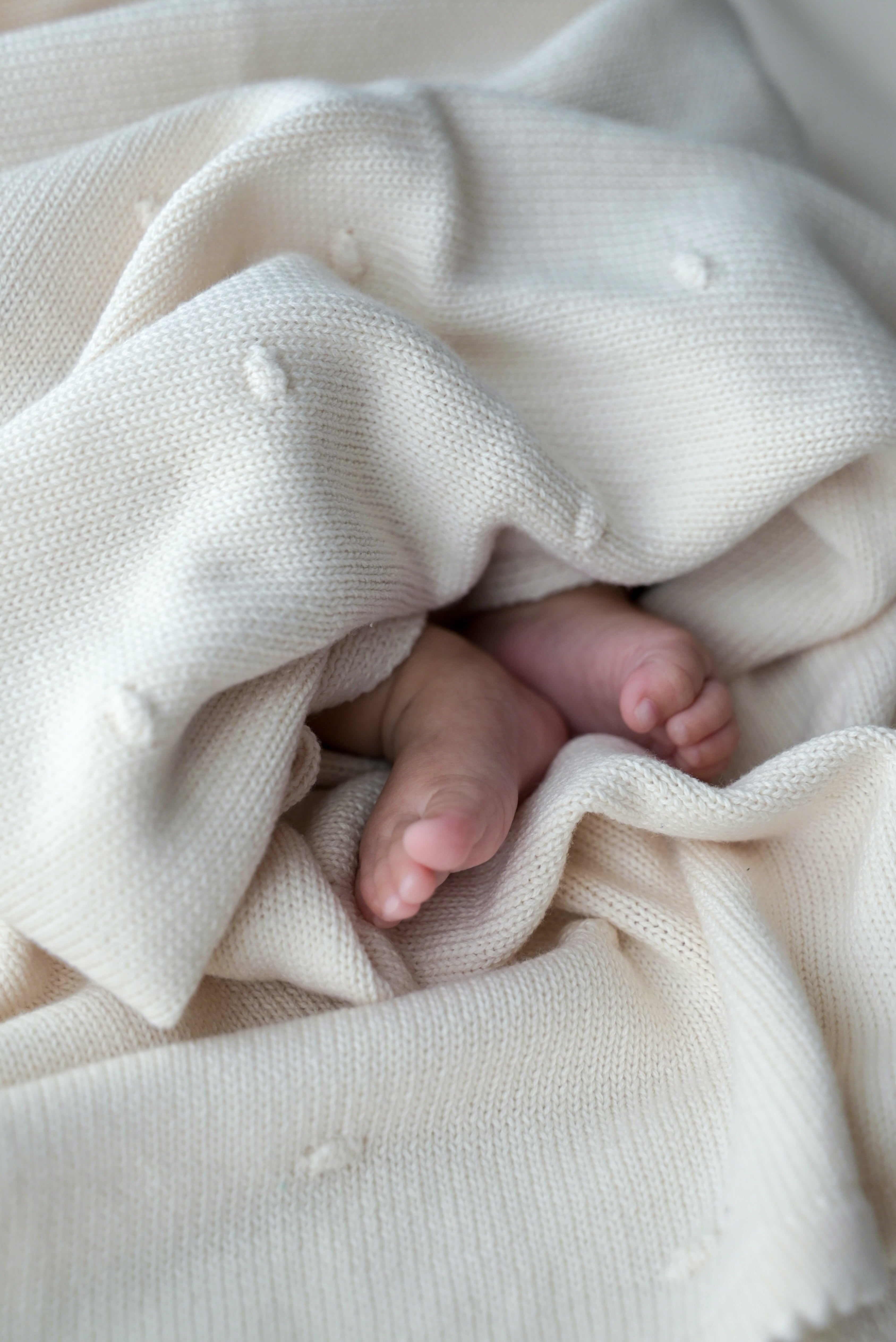 organic cotton blanket