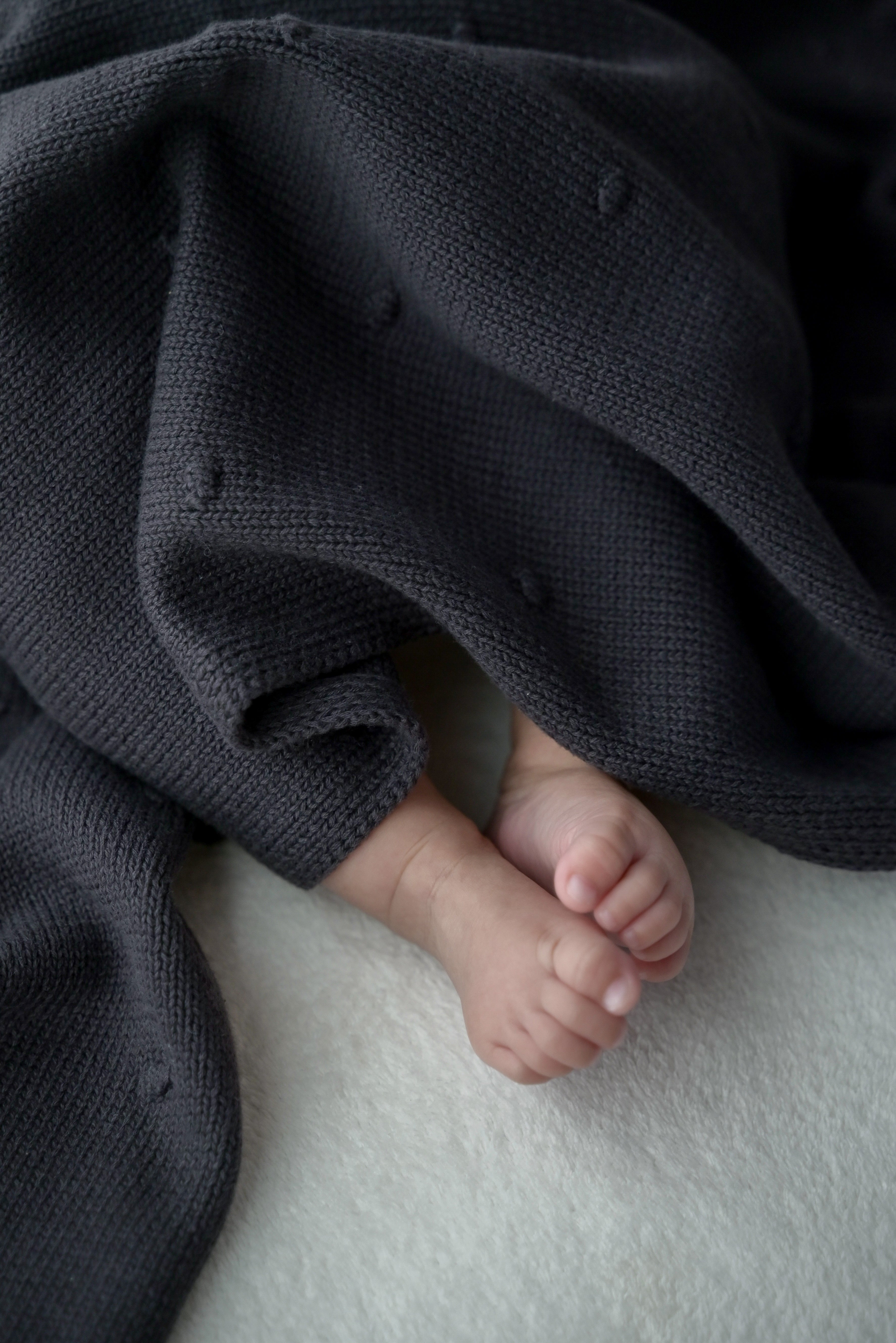 organic cotton blanket
