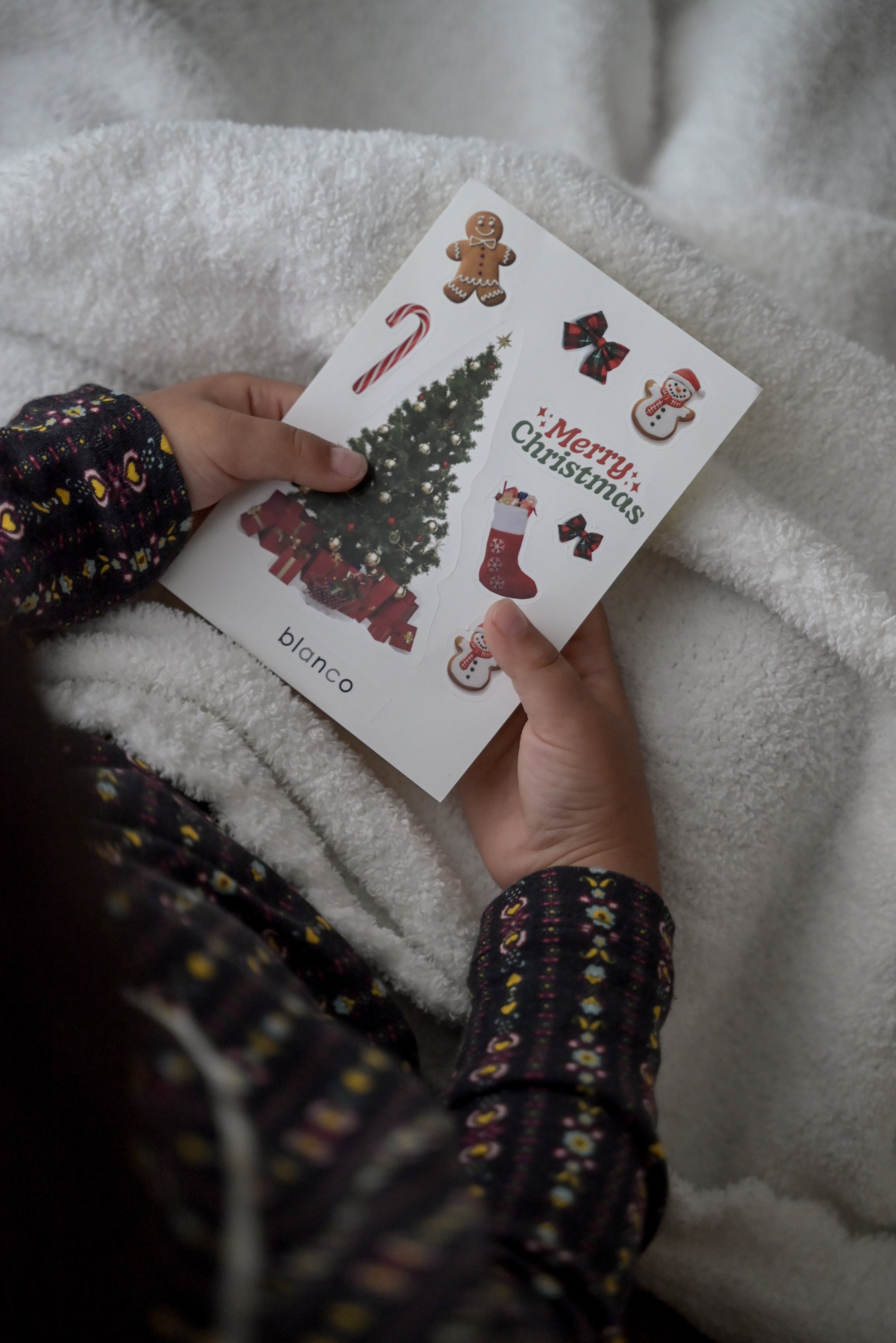 holiday🎄organic cotton blanket